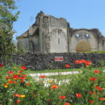 Jardin médiéval et ses coquelicots vue sur l’abbaye de Trizay