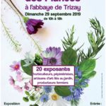 Abbaye de Trizay fête des plantes 29 sept 2019